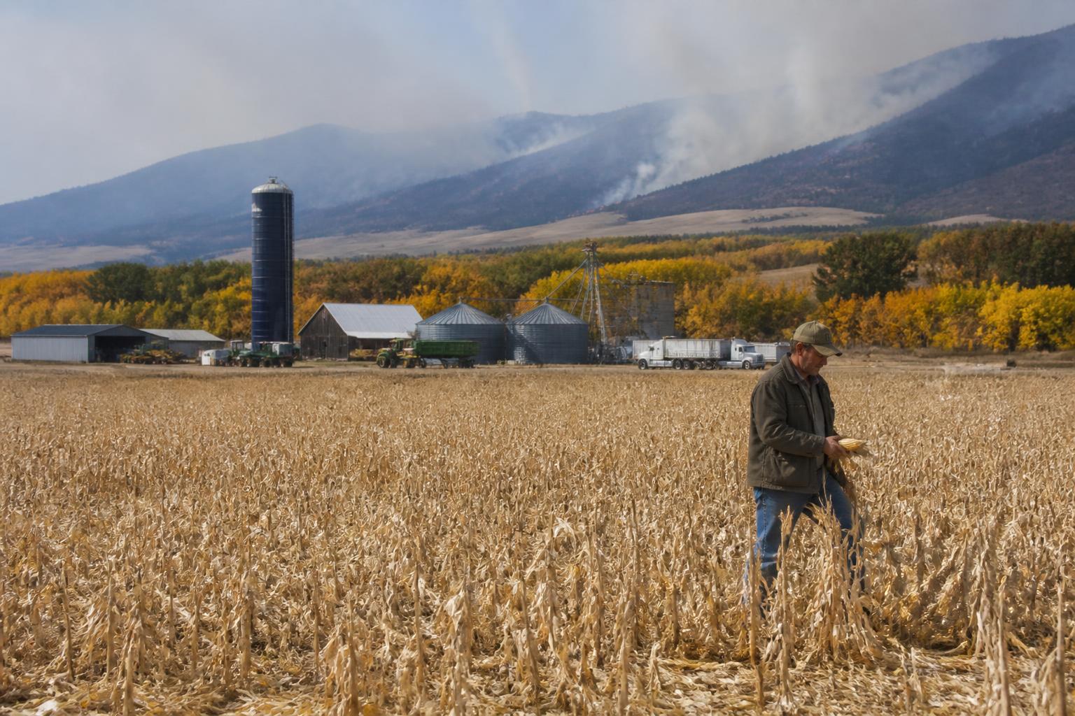 Montana Fertilizer Outlook: Evaluating Field Needs as Fall Operations Begin