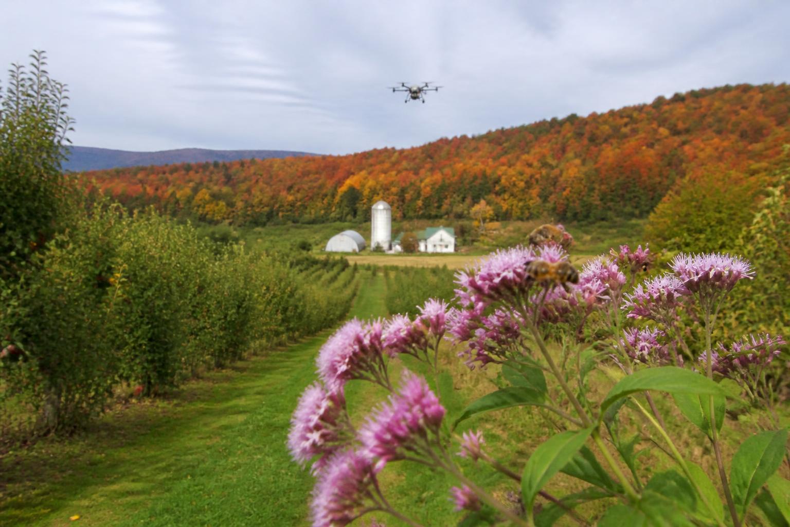 Vermont Ag Sector Navigates Market Volatility and Biodiversity Pressures