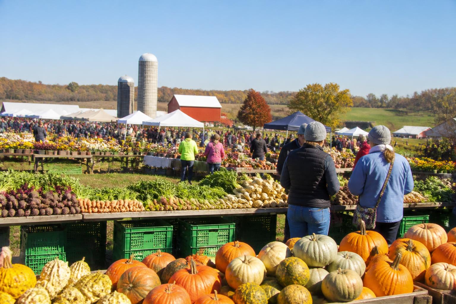 West Virginia Farm Operations: Balancing Regulatory and Market Shifts