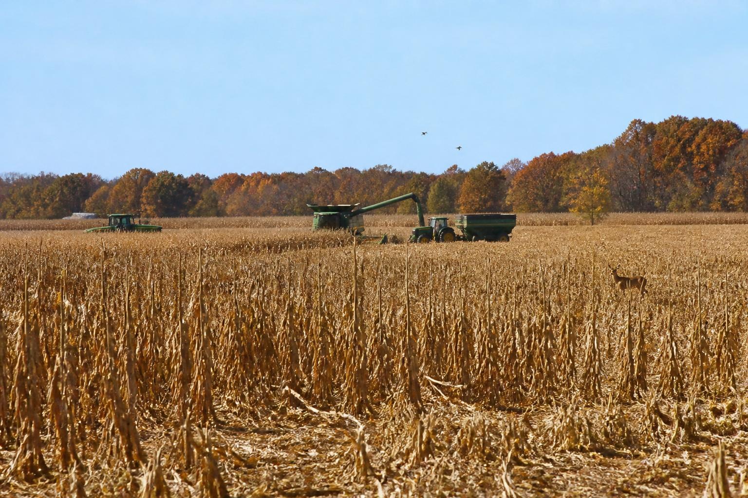 Tennessee Logistics Outlook: Preparing for Harvest-Season Transit