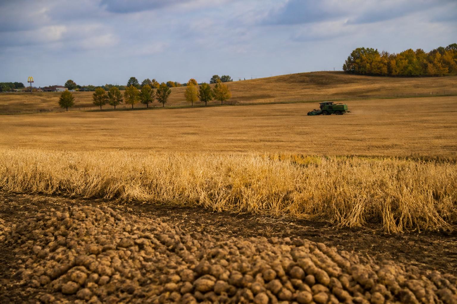 North Dakota Grain Handling and Input Market Update - AgroPost
