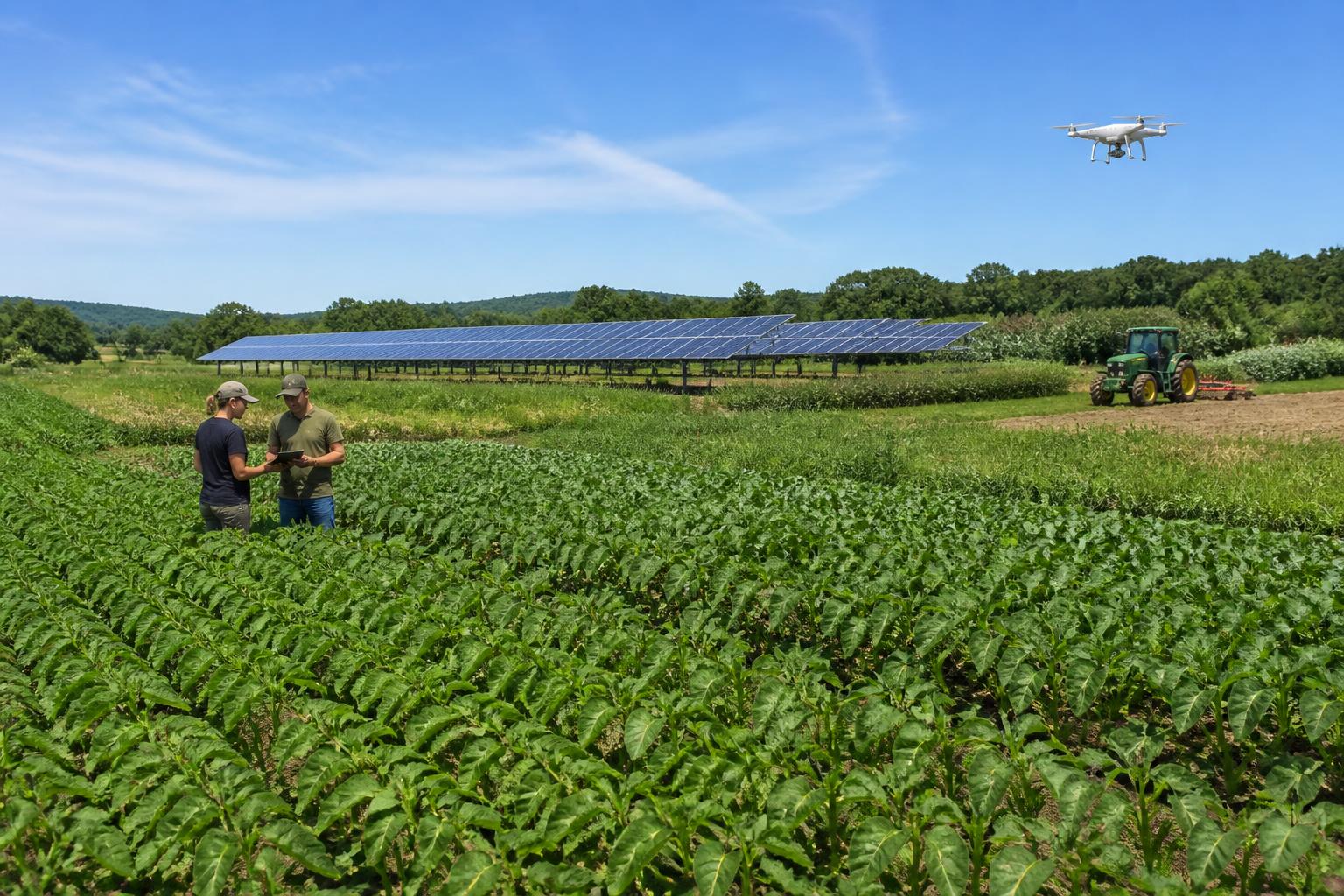 Massachusetts Crop Protection and Farmland Preservation: Navigating Summer 2026 Pressures