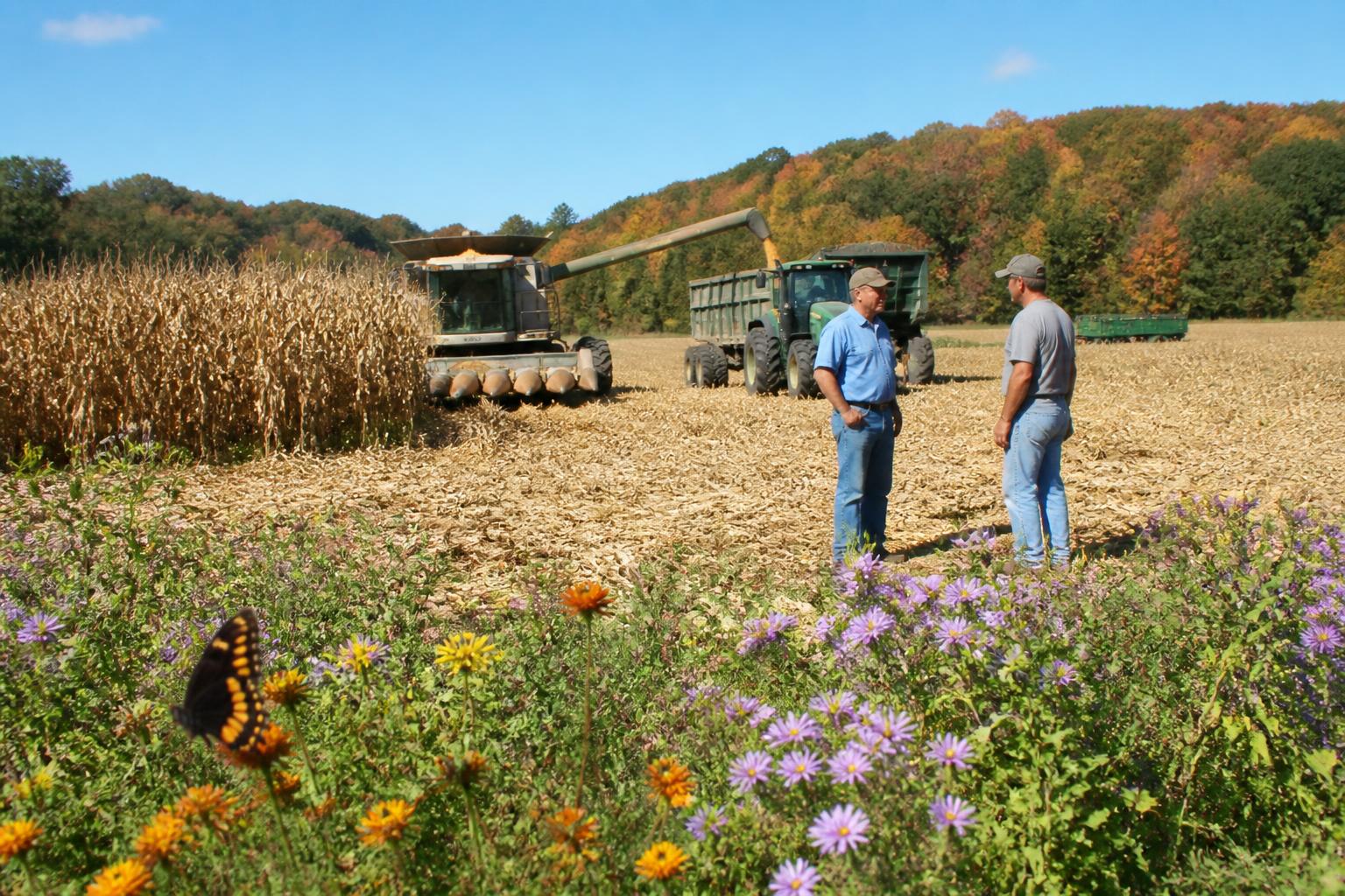Indiana Ag Infrastructure Growth: Strengthening Local Input Access this Fall - AgroPost