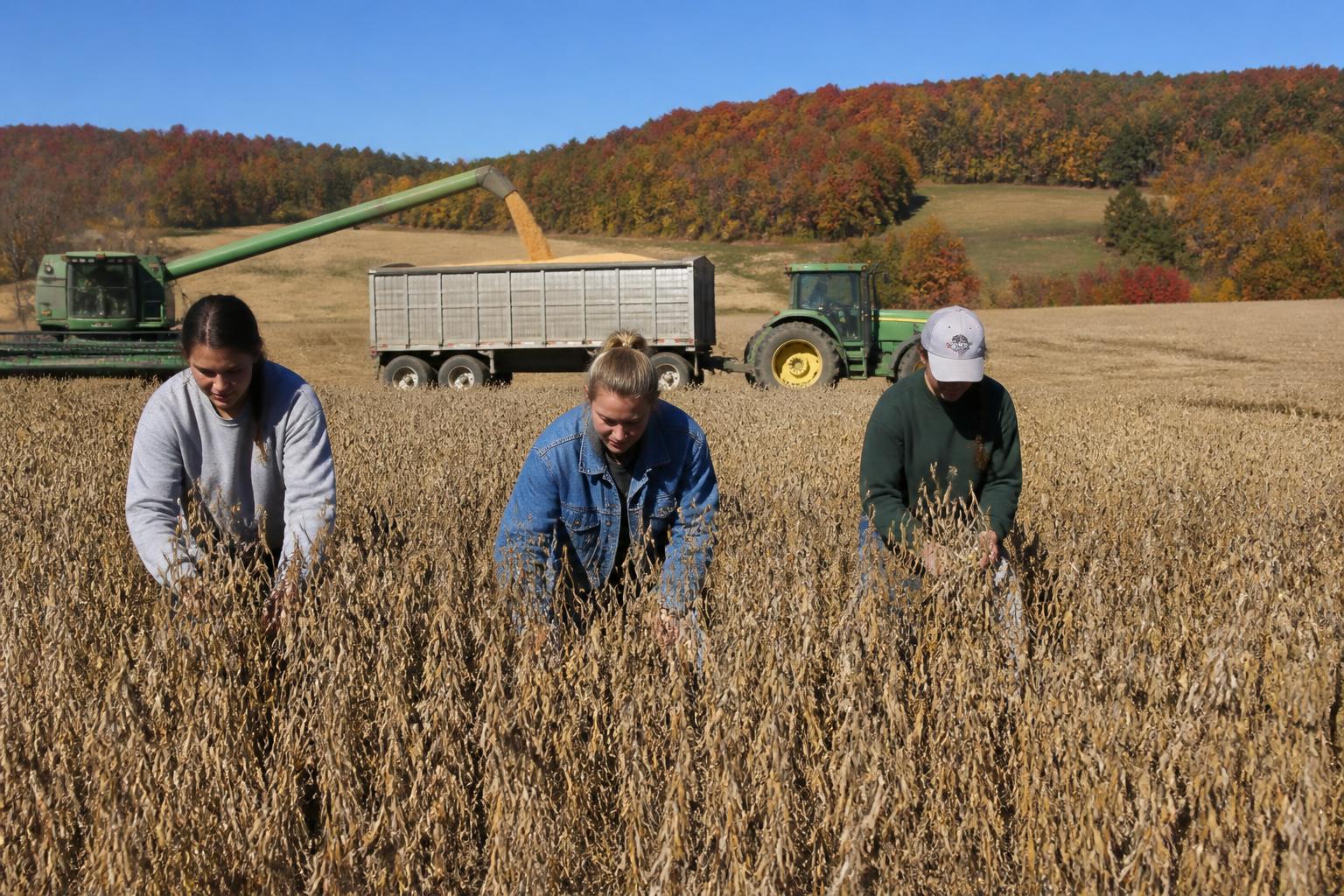 Pennsylvania Grain Markets: Monitoring Price Volatility Amid Fall Harvest