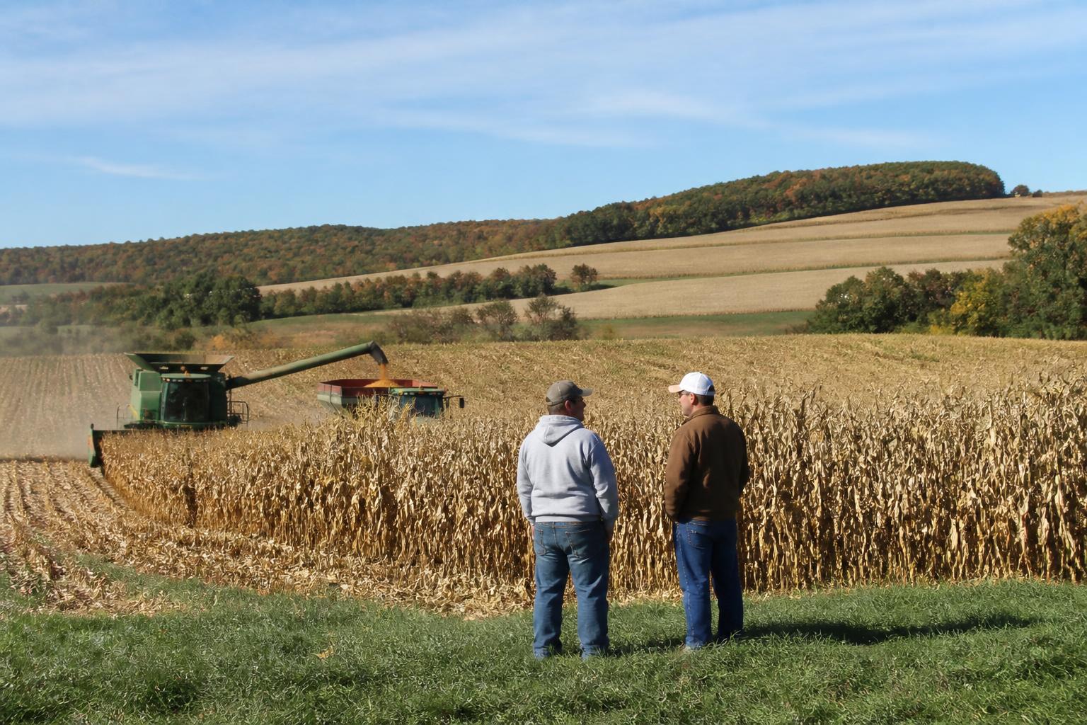 Colorado Producers Evaluate Financial Stability Amid Shifting Market Conditions