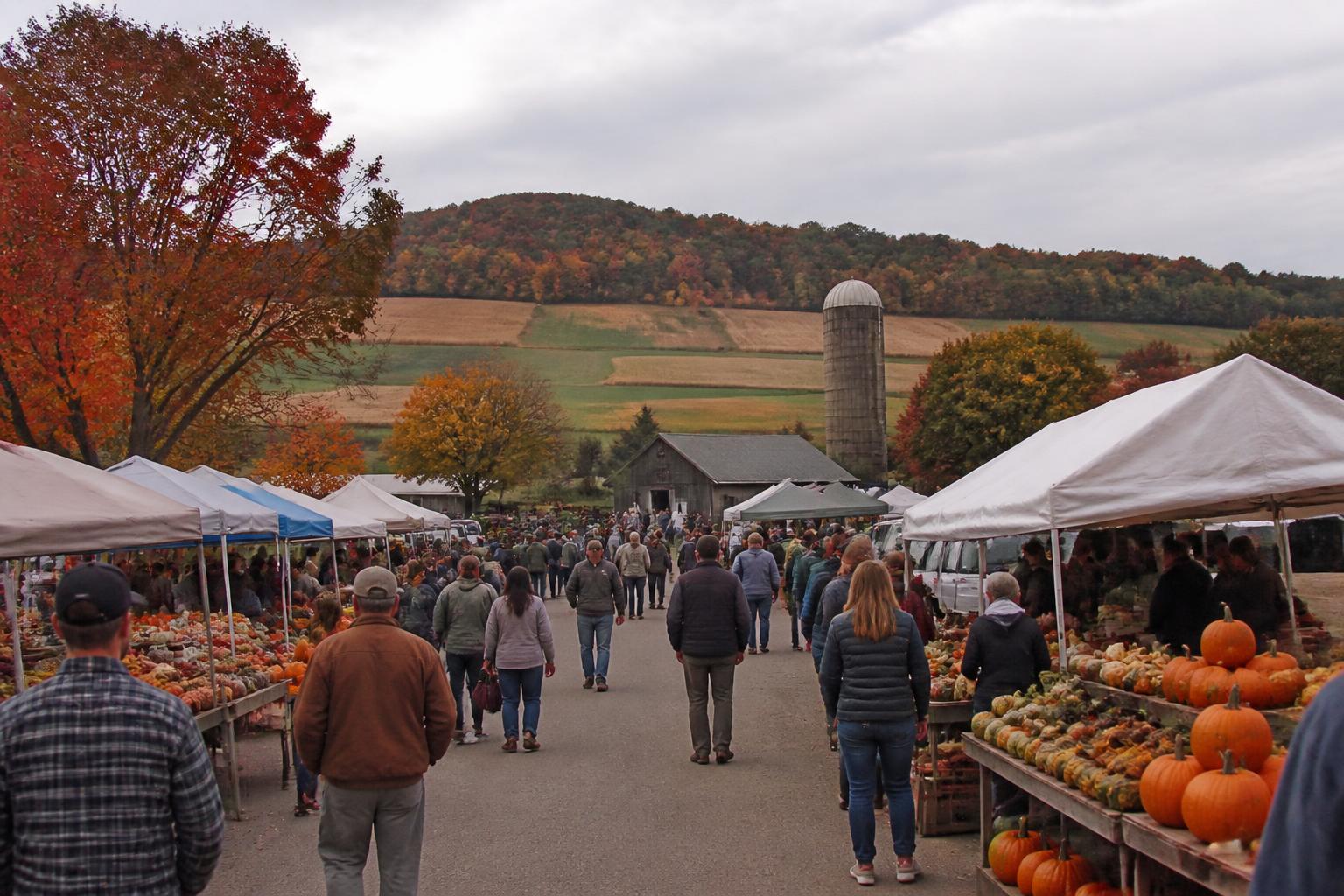Tennessee Transport Update: Managing Logistics as Fall Harvest Gains Momentum