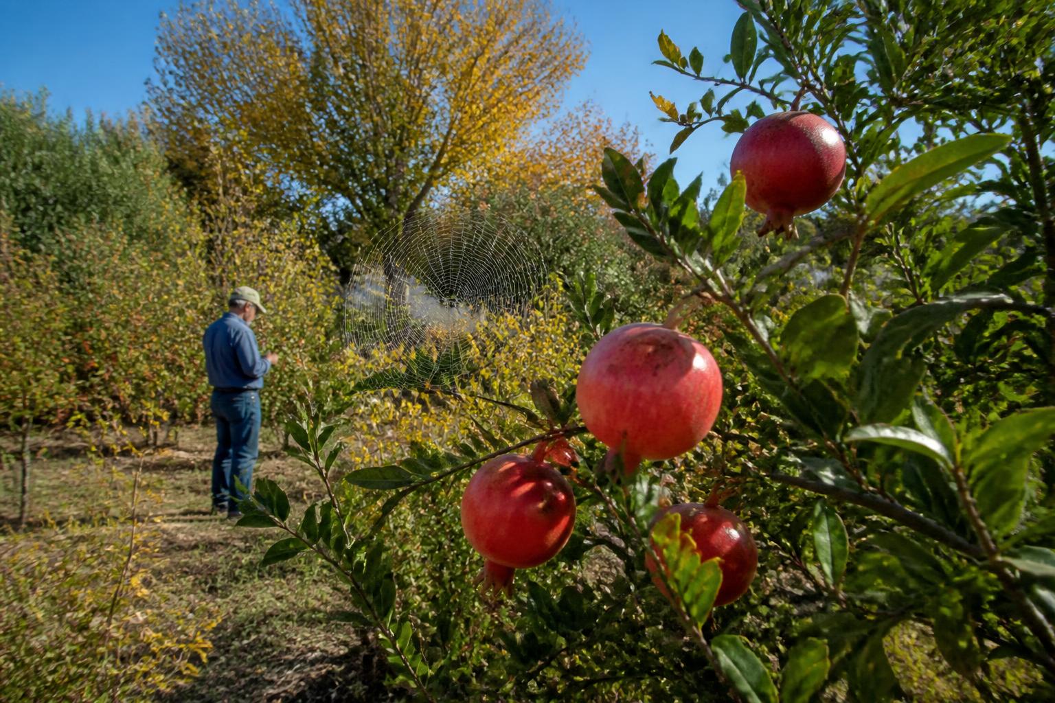 Adapting to Changing Agricultural Landscapes in Alaska - AgroPost
