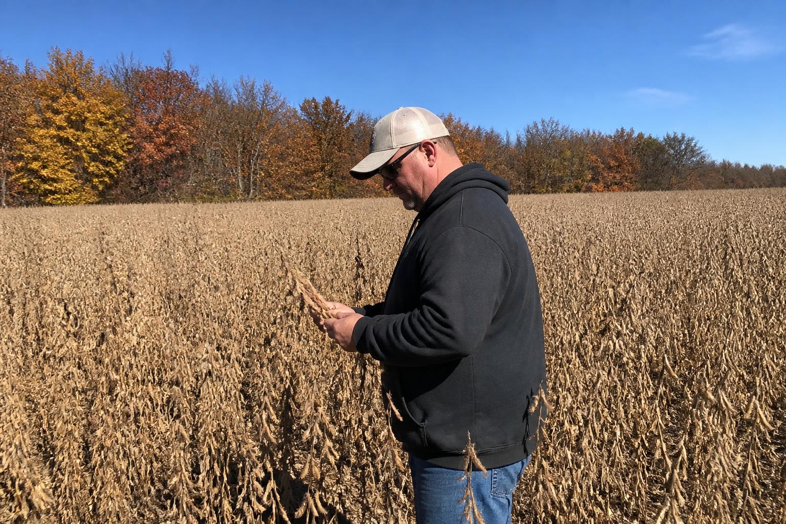 Illinois Harvest Prep: Managing Evolving Supply Chain and Input Pressures