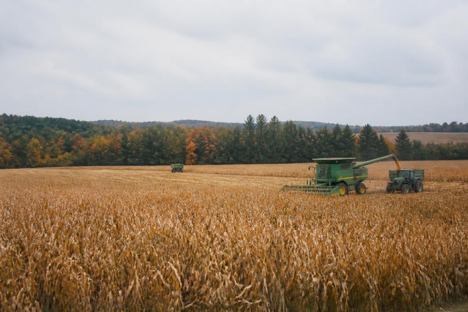 Navigating Massachusetts Farm Economic Pressures: A Fall Market Update