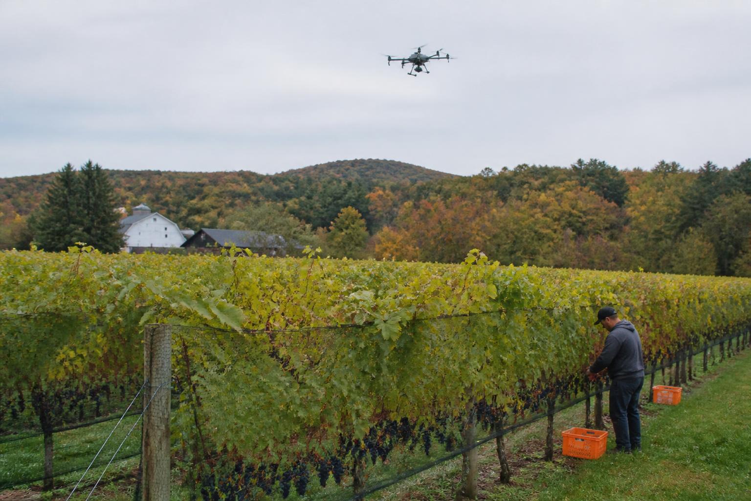 Fall Field Management: Protecting Connecticut Orchards and Vineyards from Pests