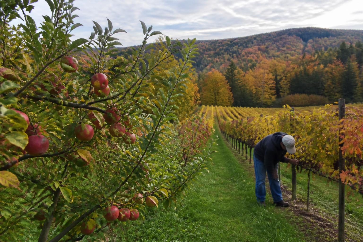 West Virginia Land Stewardship: Balancing Development and Resource Protection