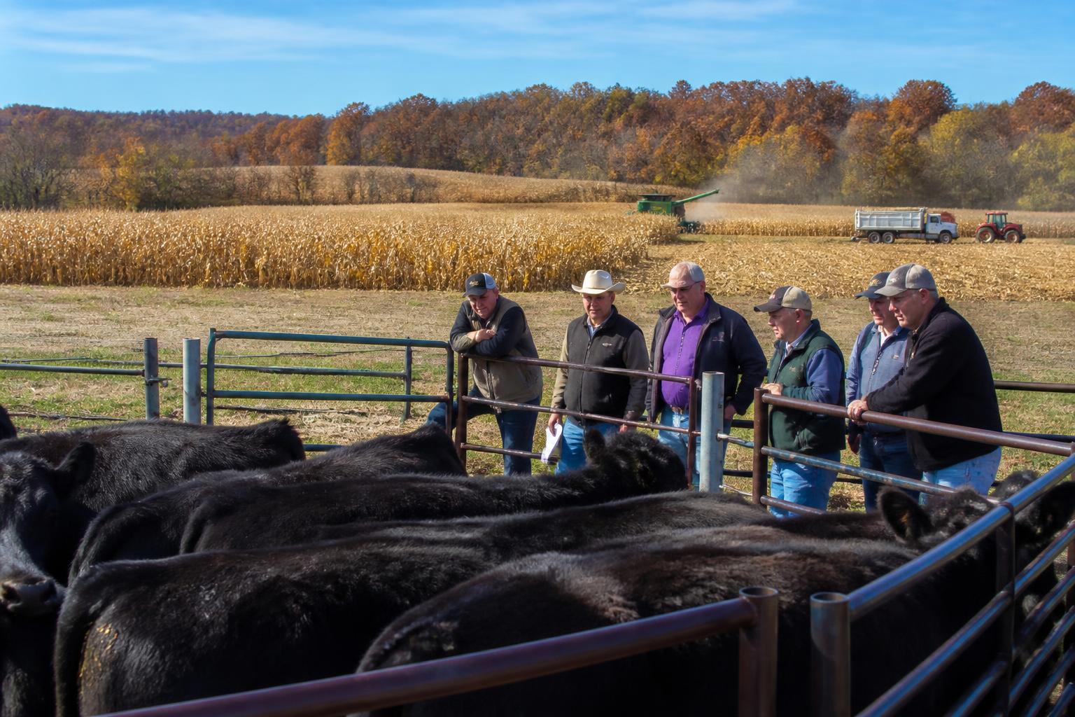 Tennessee Grain Markets: Navigating Variable Soil Moisture as Fall Harvest Begins - AgroPost