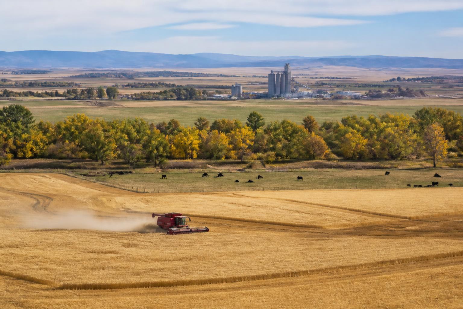 Strengthening Domestic Fertilizer Capacity: What Montana Producers Need to Know - AgroPost