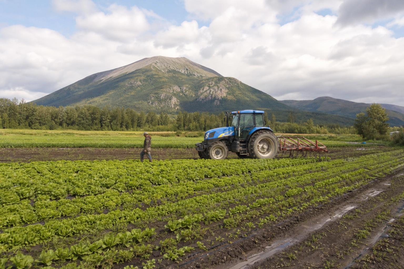 Agricultural Market Prospects in Alaska Amid New Development Projects - AgroPost