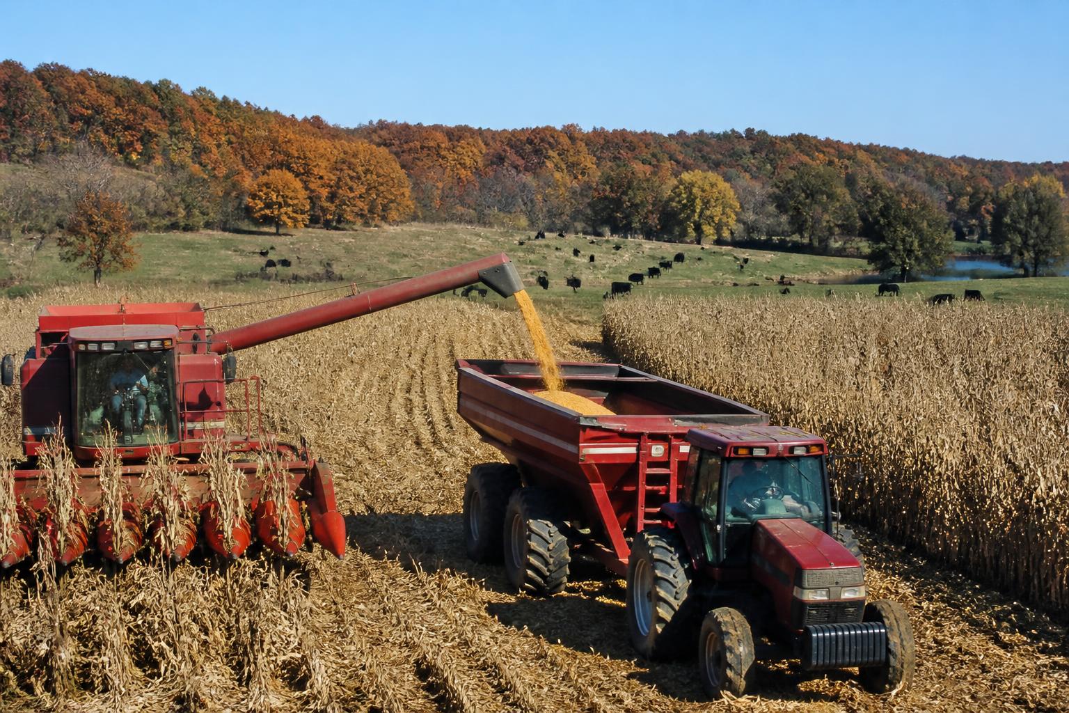 Oklahoma Soil Fertility and Input Management Amid Shifting Market Conditions