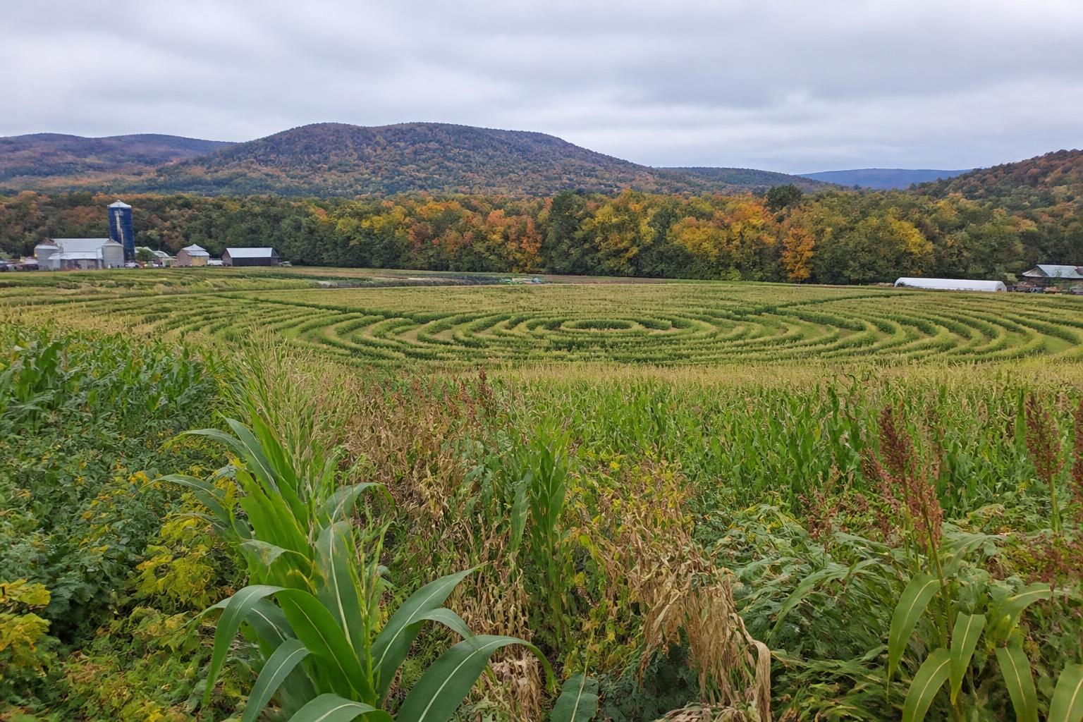 Vermont Growers Weigh Management Shifts Amid Regulatory and Seasonal Changes