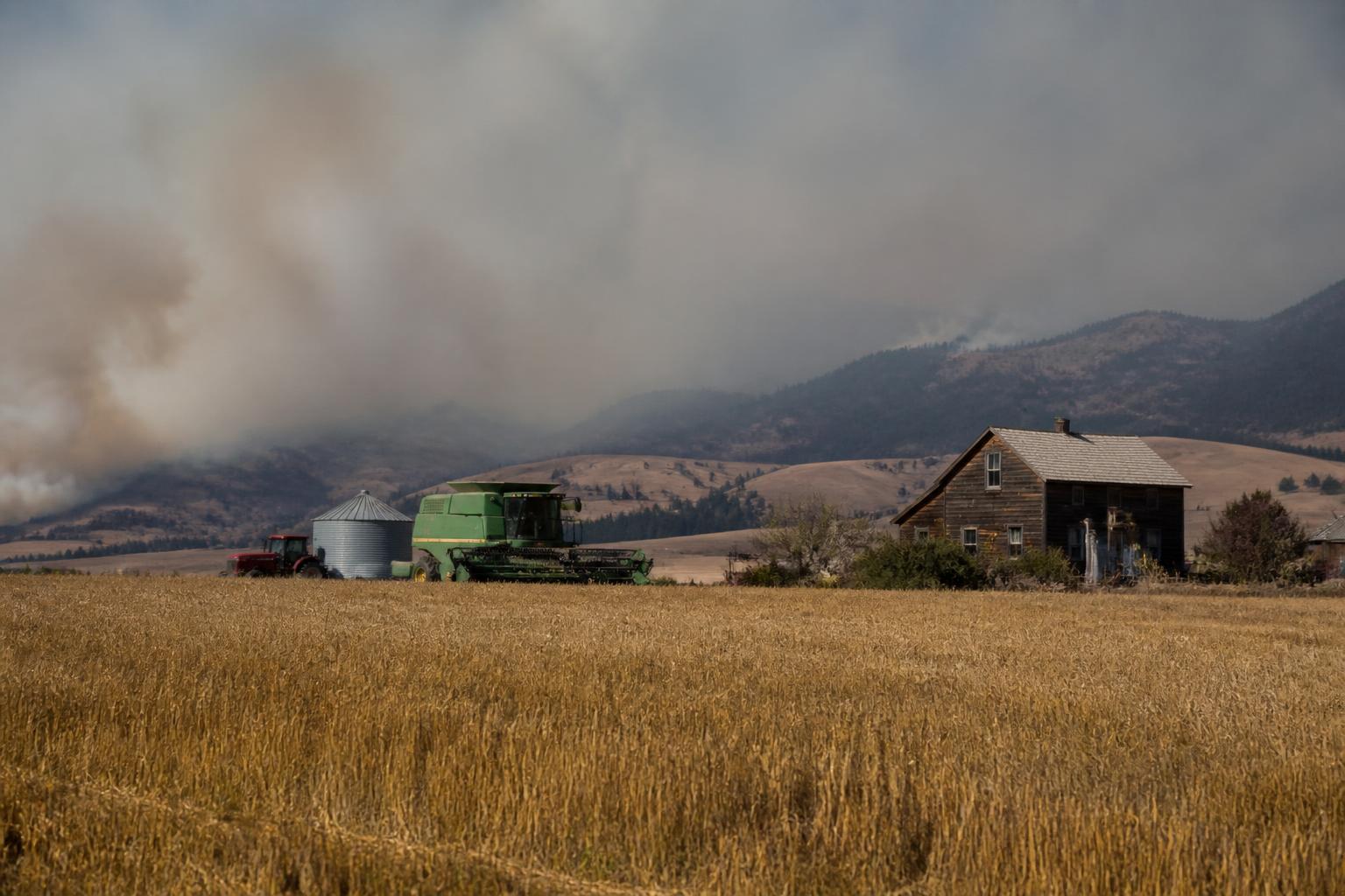 Fall Field Conditions: Managing Crop Protection and Environmental Stress in Montana