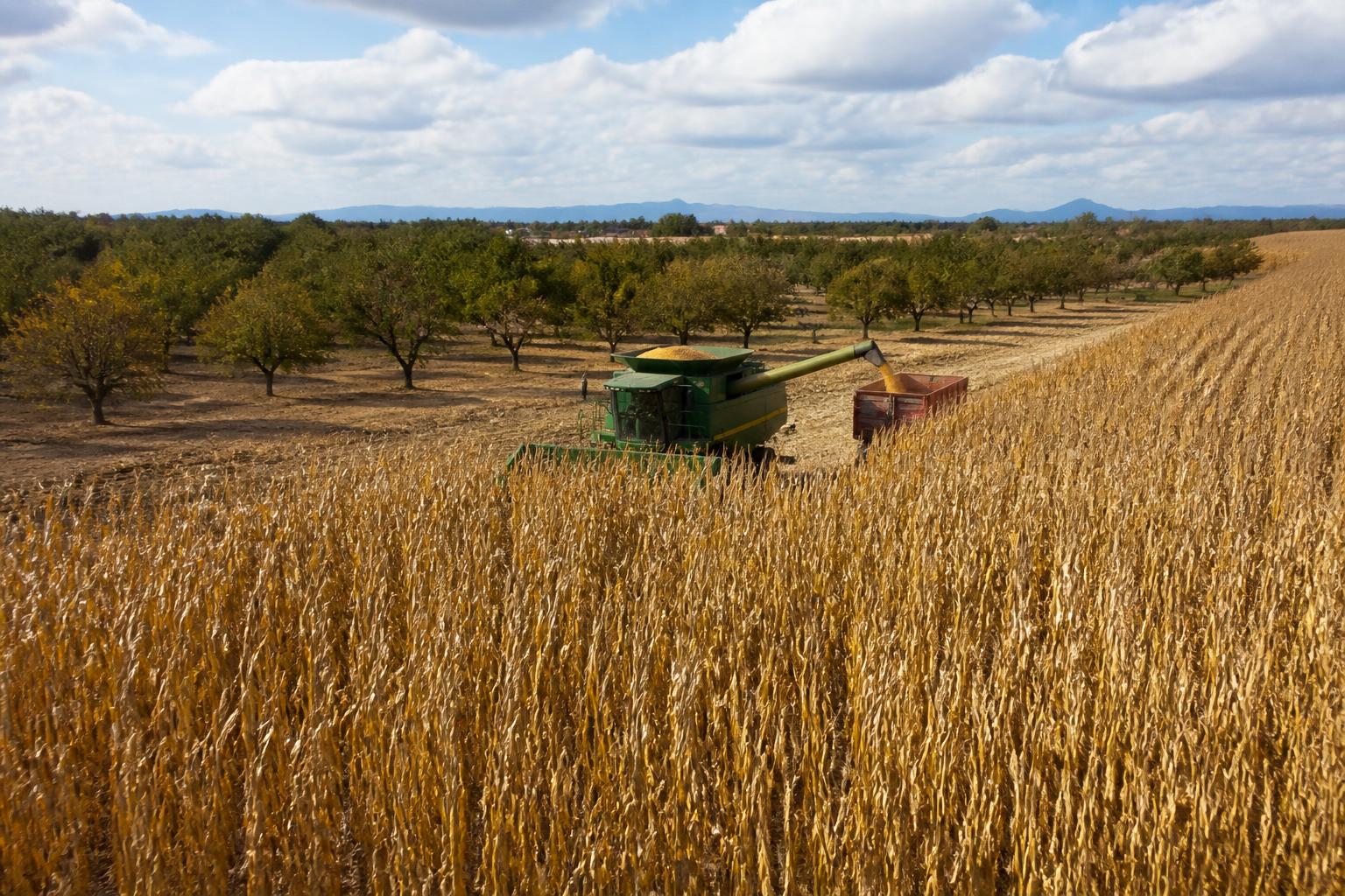New Mexico Agriculture: Navigating Shifting Cross-Border Dynamics and Regional Logistics - AgroPost