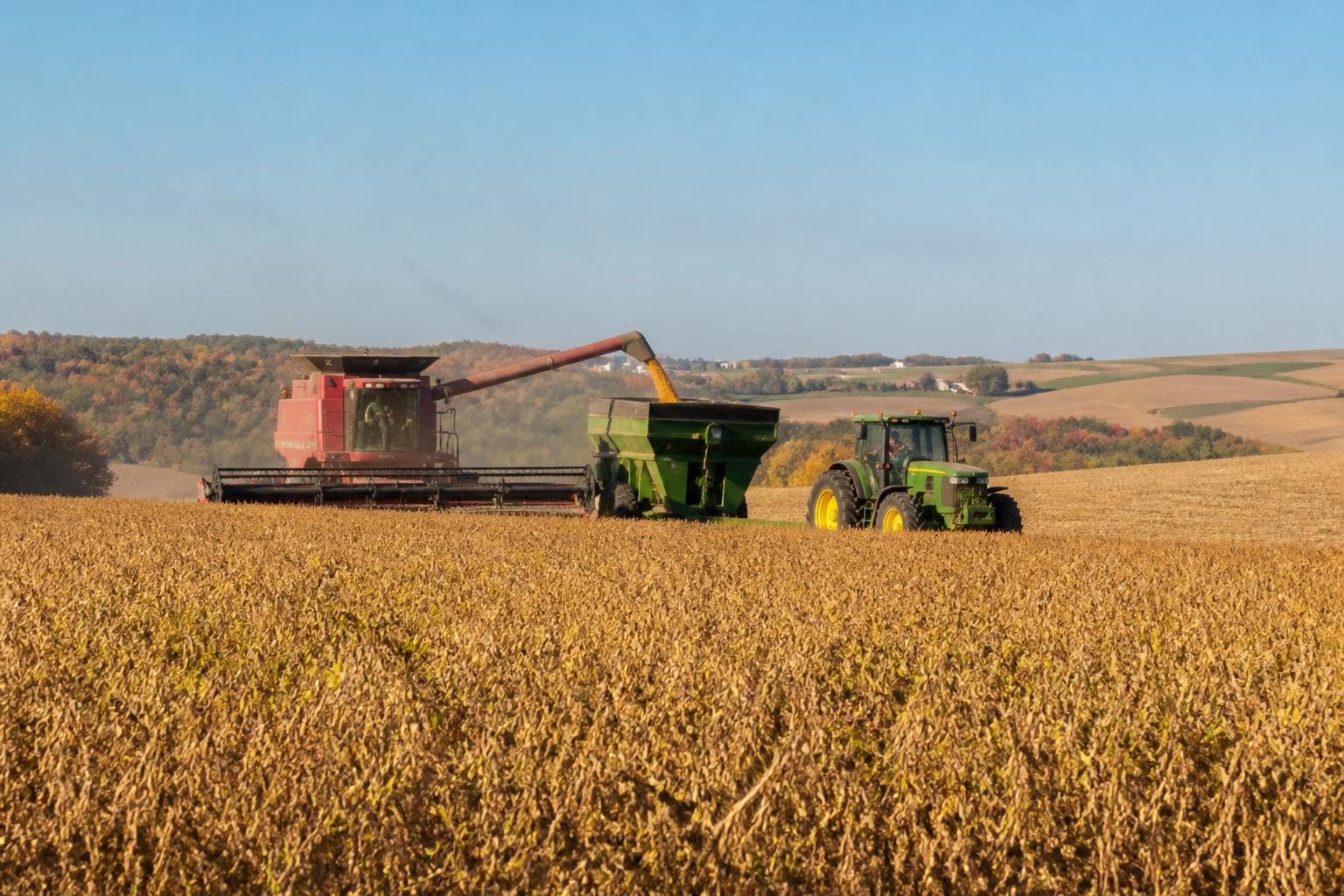 Optimizing Harvest Logistics: New York Grain Management Strategies