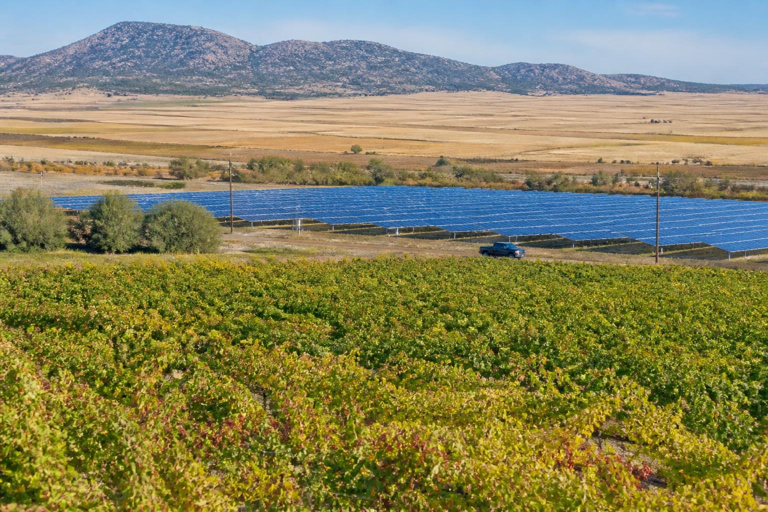 Colorado Grain Markets: Storage and Logistics Trends Heading into Fall