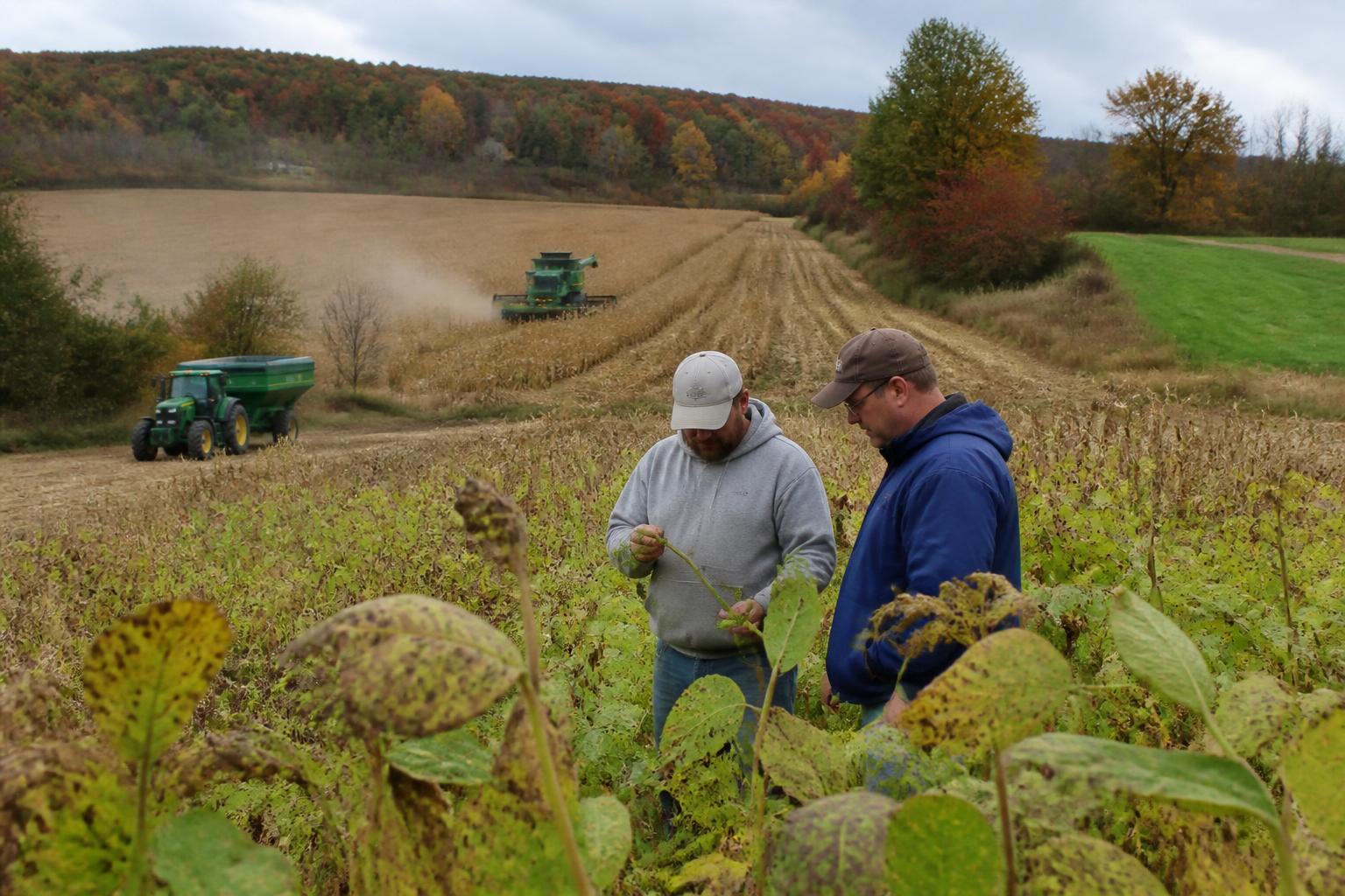 Protecting Connecticut Farmland Amid Rising Input Costs and Seasonal Pests