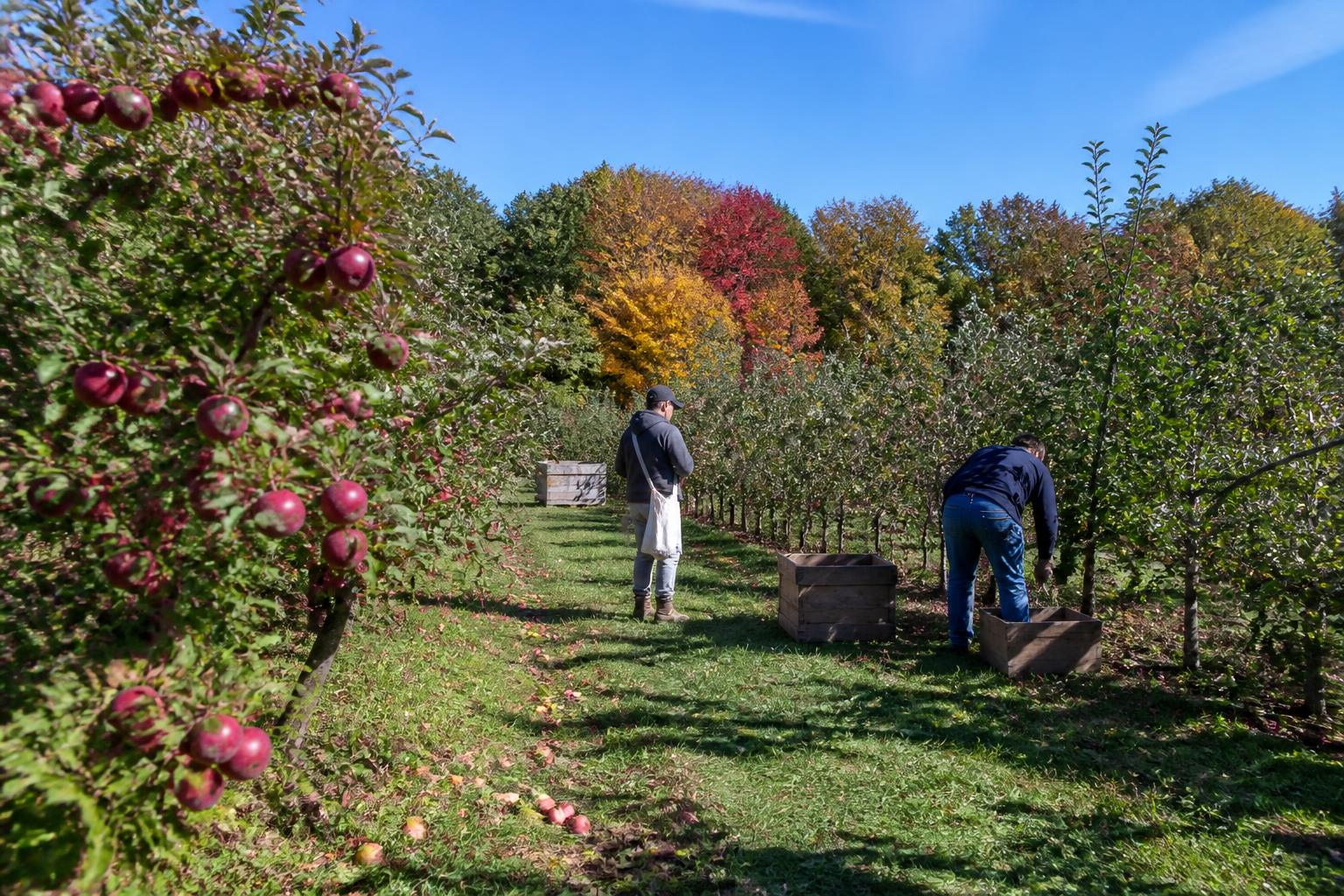 Rhode Island Agriculture: Navigating Sustainability and Infrastructure Shifts