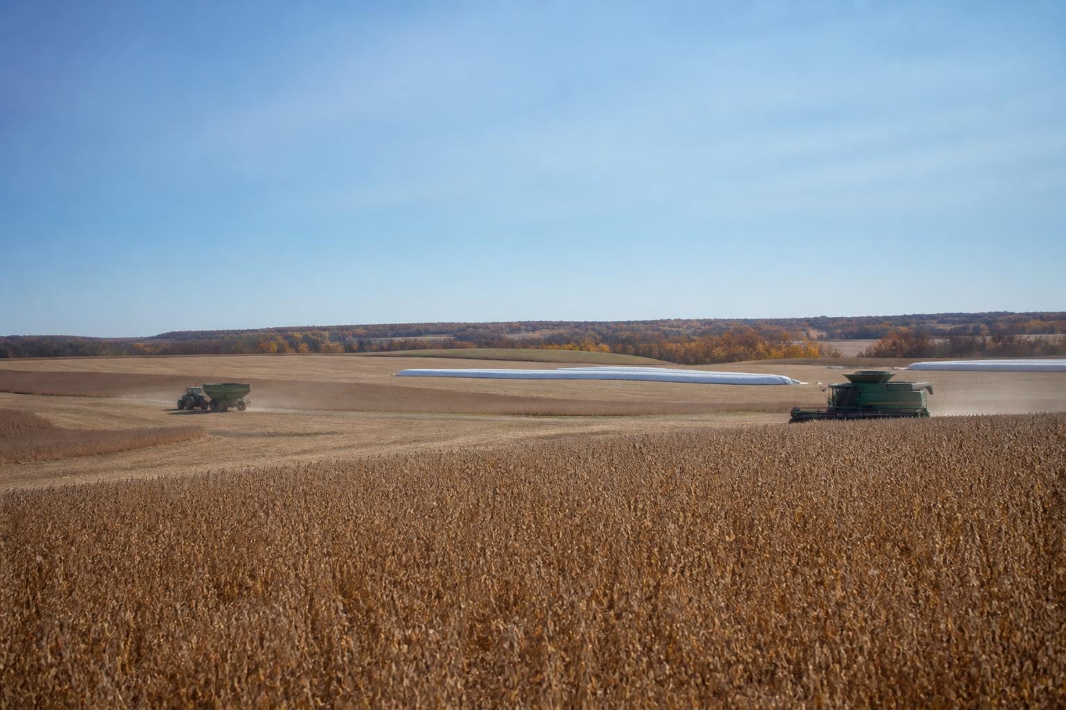 Navigating Input Logistics and Storage Pressures in North Dakota