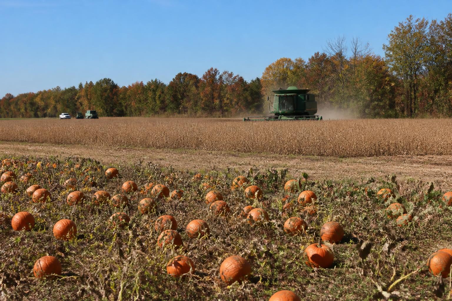 Arkansas Harvest Logistics: Navigating Mid-Season Challenges and River Transit