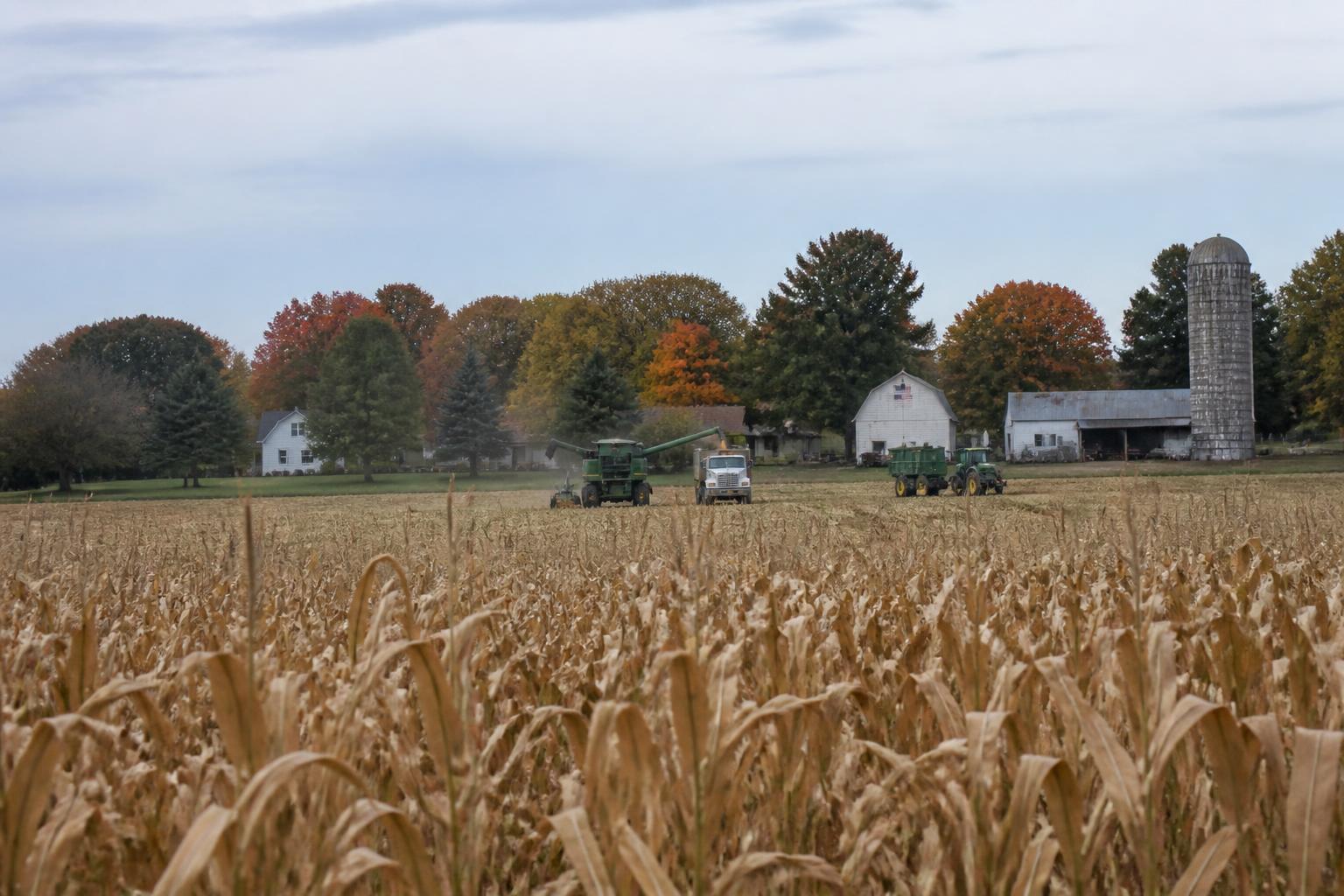 Florida Fertilizer Outlook: Managing Input Costs Amid Shifting Supply Dynamics