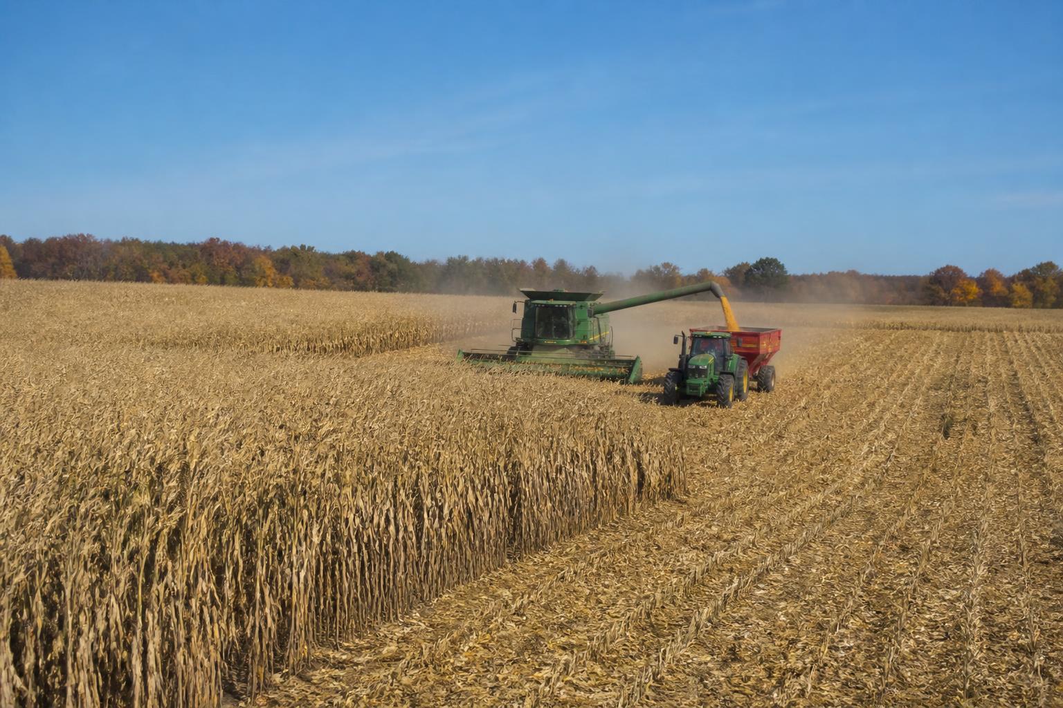 Delaware Grain Market Update: Monitoring Price Volatility as Harvest Approaches