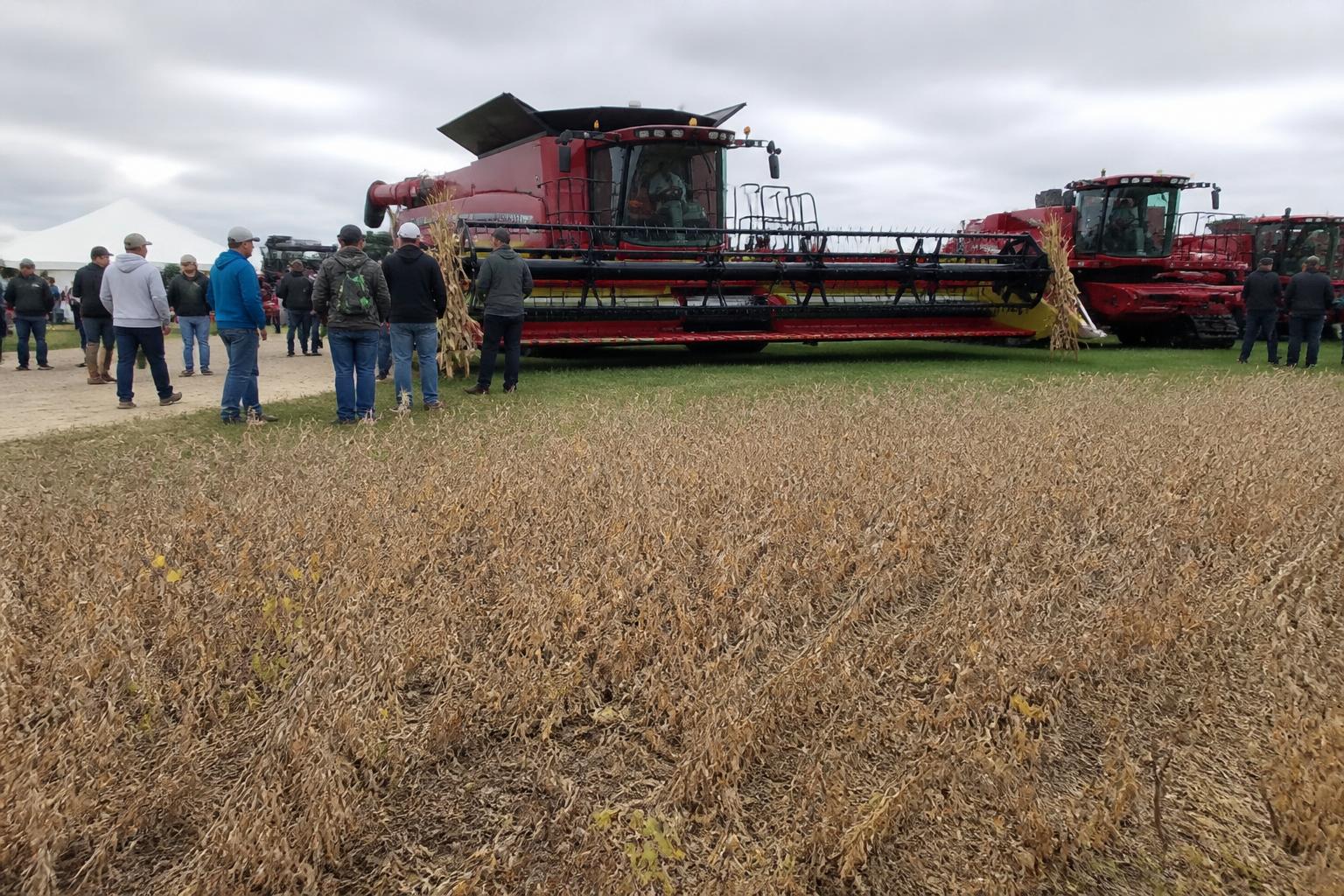 Maine Grain Sector Expands as Harvest Gains Momentum - AgroPost