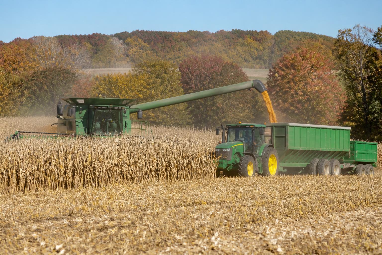 Arkansas Crop Protection: Managing Late-Season Pressures Amidst Harvest Shifts - AgroPost