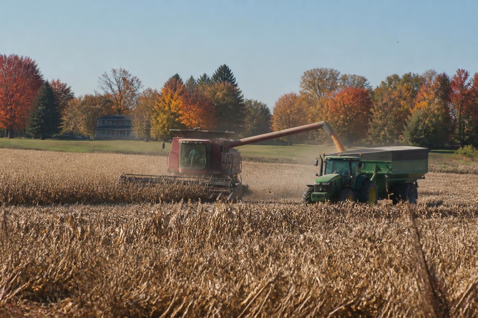 Alabama Grain Market Update: Navigating Price Volatility as Harvest Gains Momentum - AgroPost