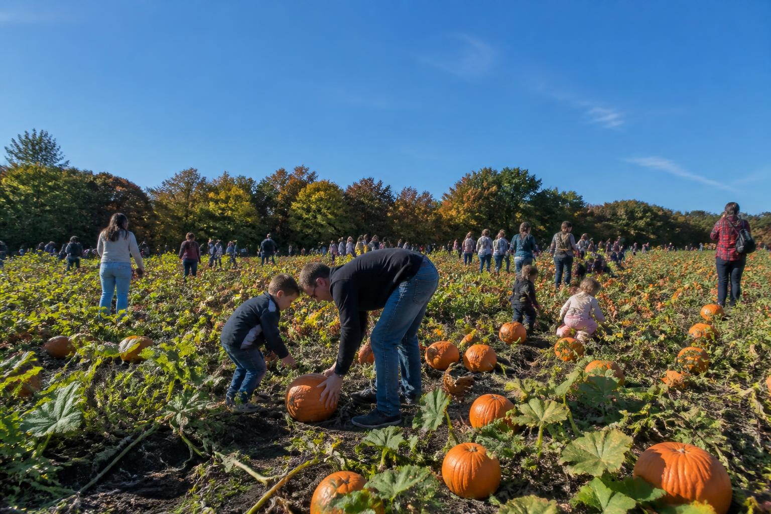 New Jersey Input Market: Protecting Tech Assets Amid Ongoing Season Shifts - AgroPost