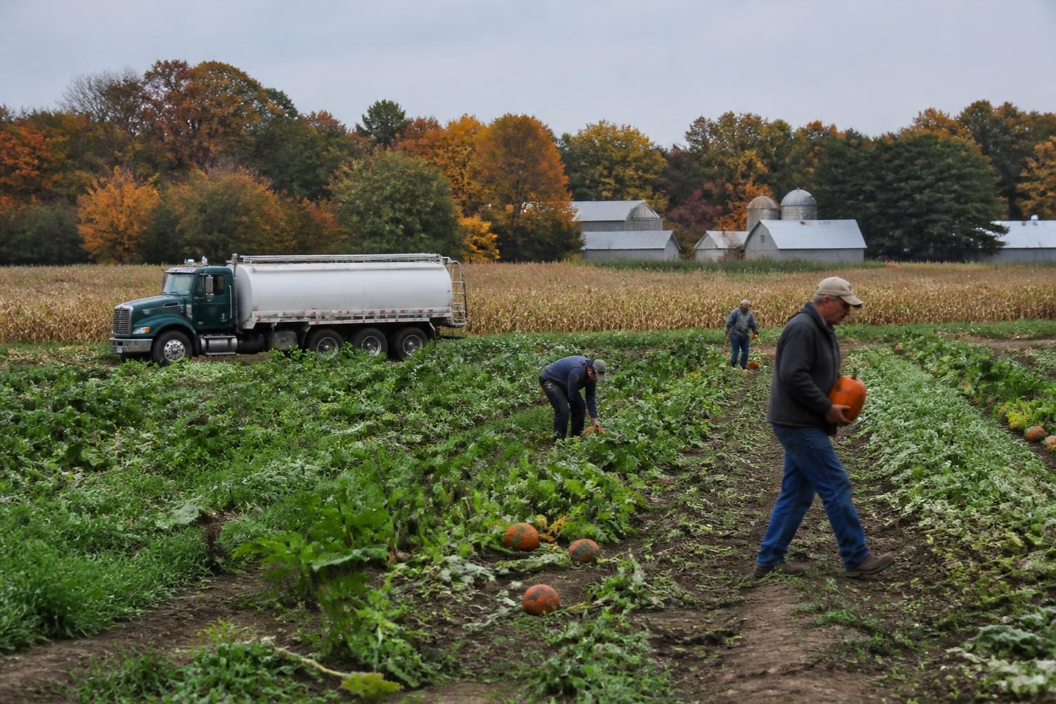 Maryland Logistics Update: Managing Evolving Harvest Transit Challenges - AgroPost
