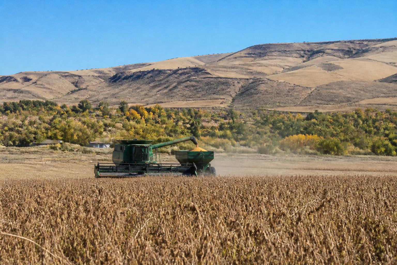 Utah Agriculture Faces Seasonal Headwinds Amid Rising Input Costs - AgroPost