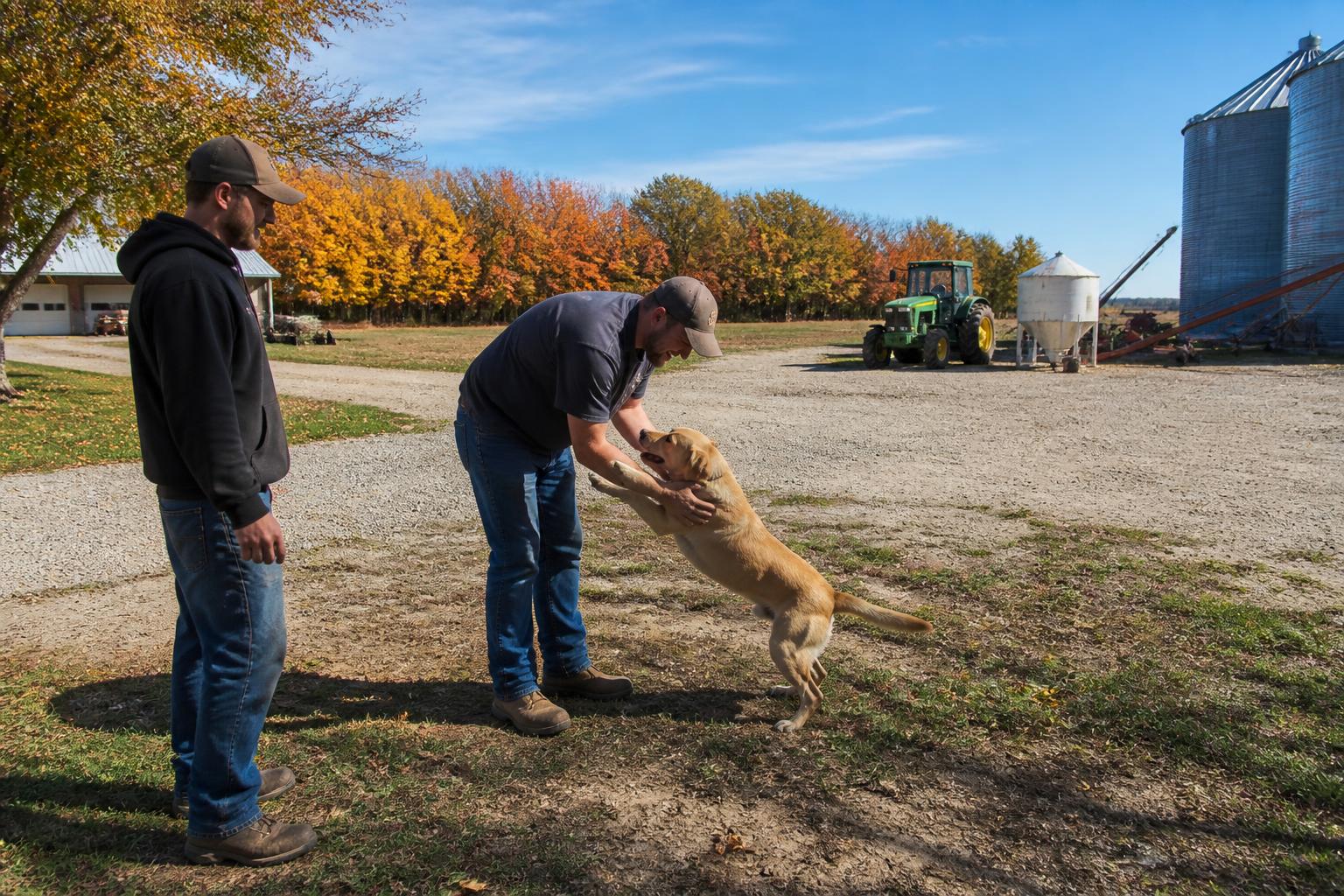 Illinois Logistics Overview: Managing Harvest Season Pressures - AgroPost