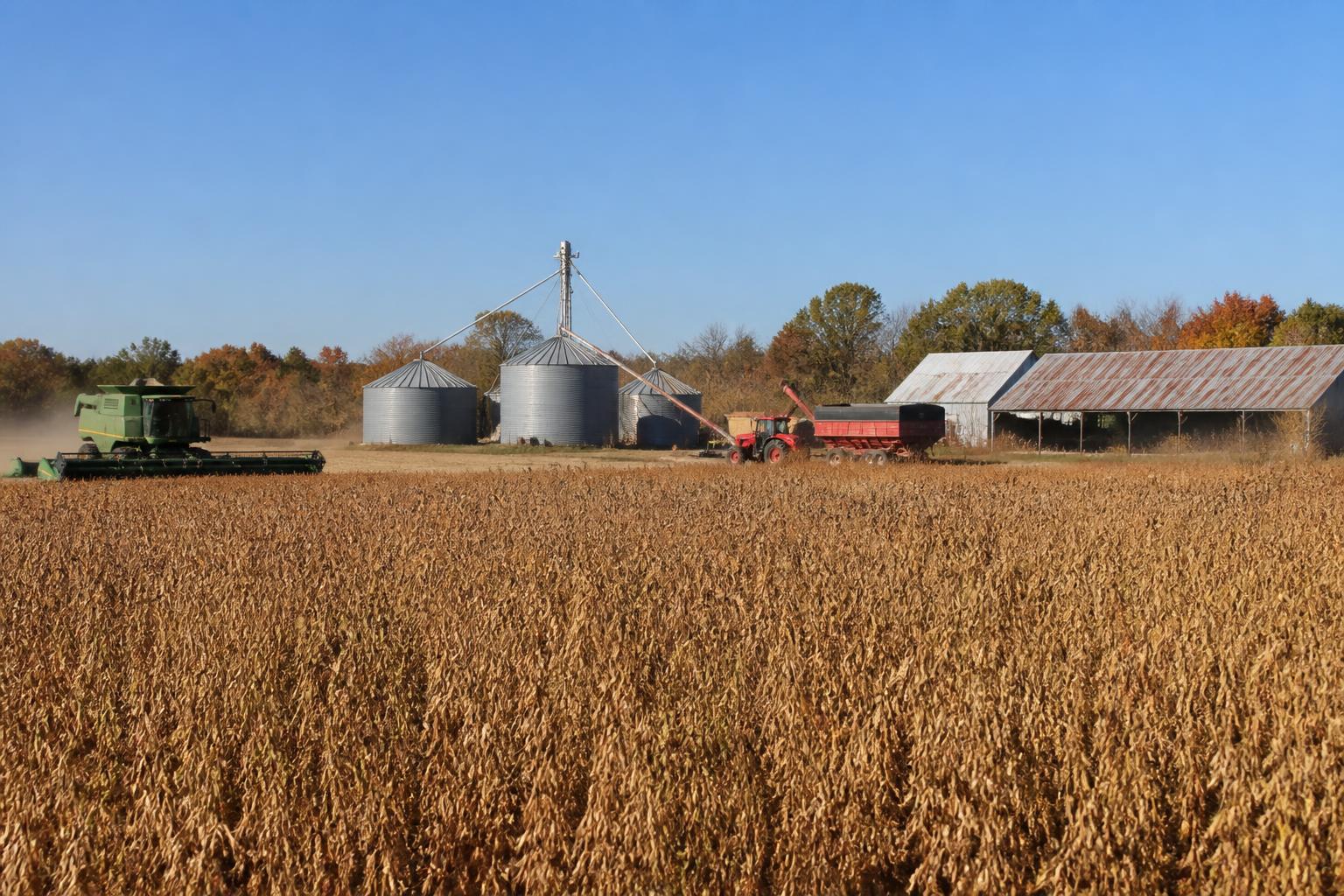 Louisiana Grain Harvest Intensifies Amid Regional Storage Shifts - AgroPost