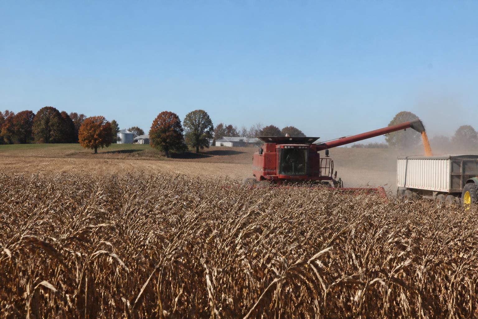 Missouri Farm Outlook: Managing Economic Headwinds as Harvest Commences - AgroPost