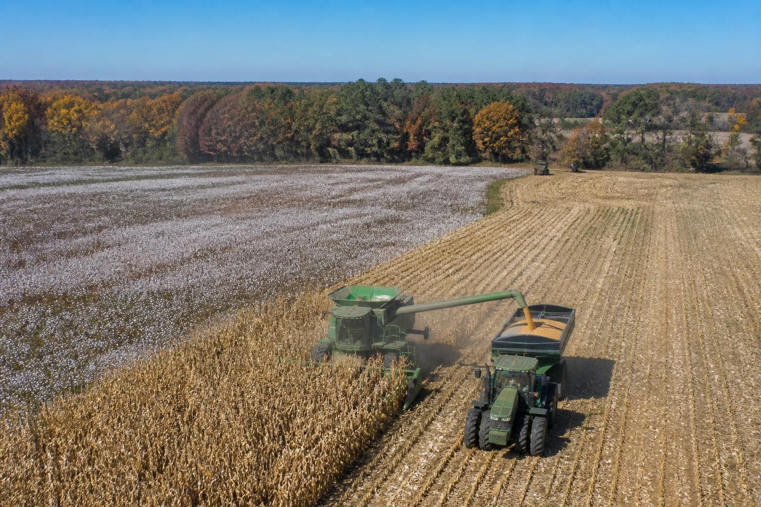 Mississippi River Logistics: Navigating Late-Season Harvest Constraints - AgroPost