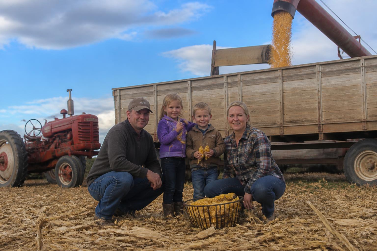 South Dakota Grain Logistics: Managing Rail Bottlenecks This Fall - AgroPost
