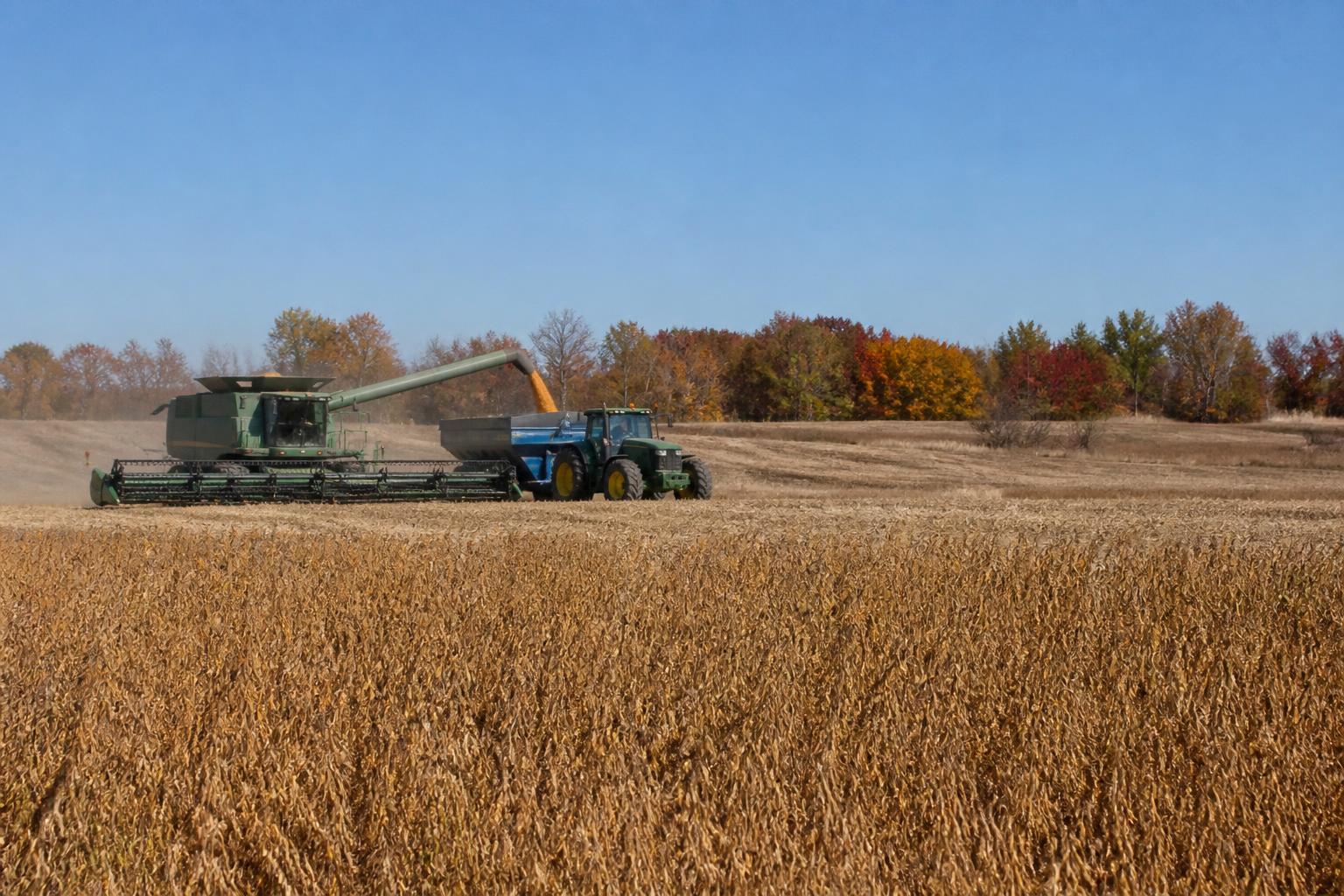 Oklahoma Ag Market Brief: Protecting Margins Amidst Shifting Input Costs - AgroPost