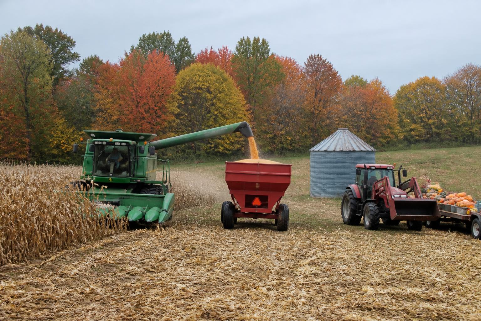 Navigating Minnesota Grain Flow and Market Volatility as Harvest Intensifies - AgroPost