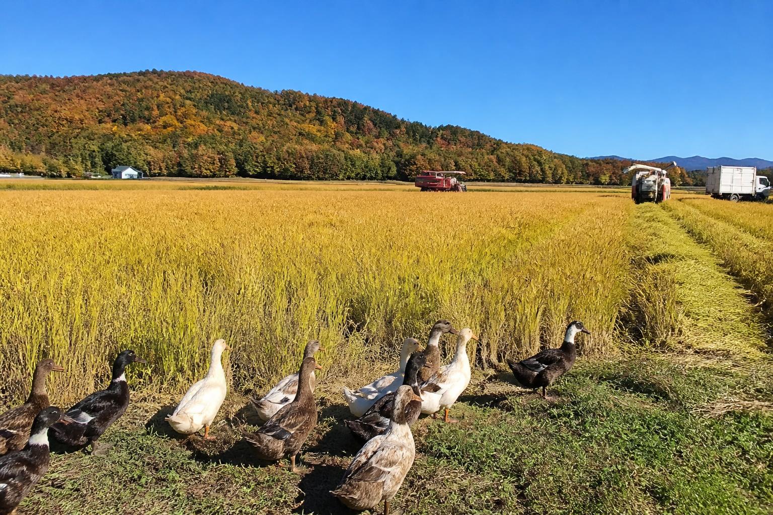 Vermont Ag Markets Update: Assessing Supply Shifts and Niche Innovation