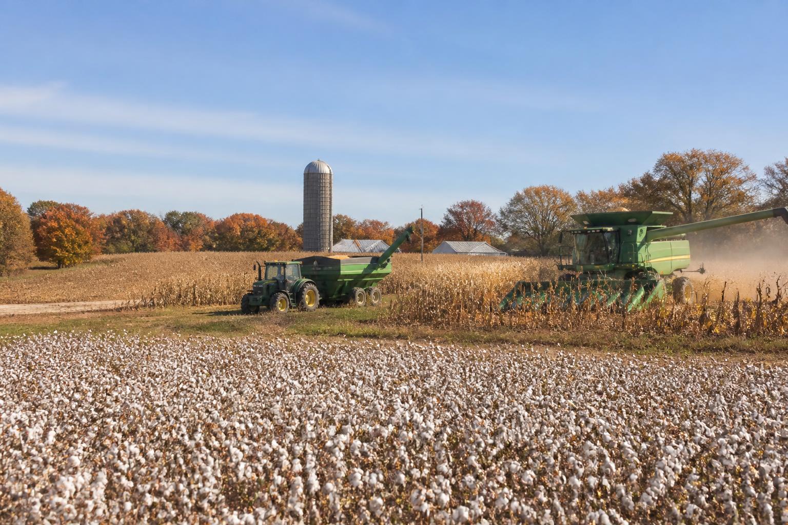 Arizona Ag Sector Faces Heightened Scrutiny on Water and Trade Policy - AgroPost