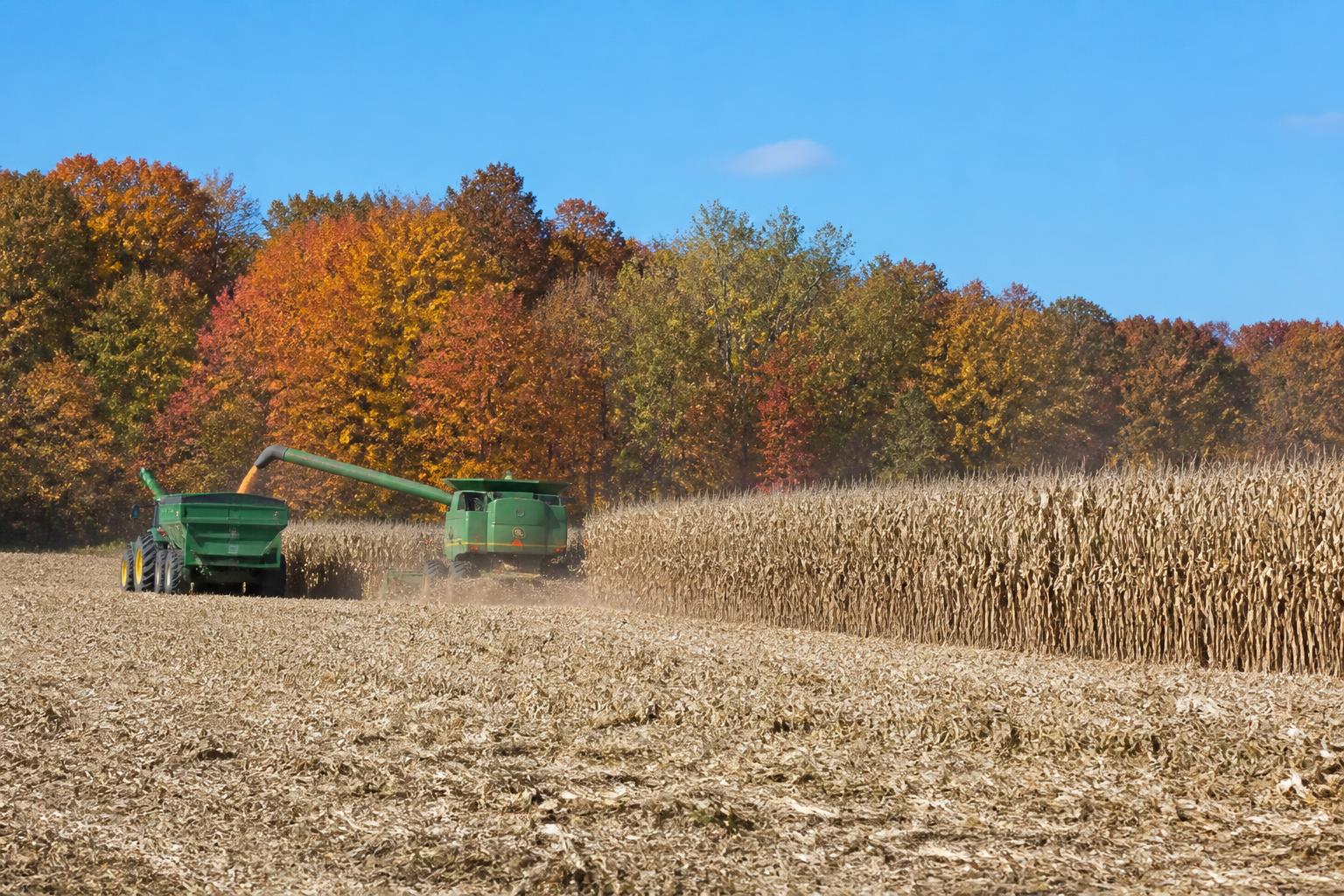 Indiana Market Brief: Navigating Harvest Pressures and Input Strategies - AgroPost