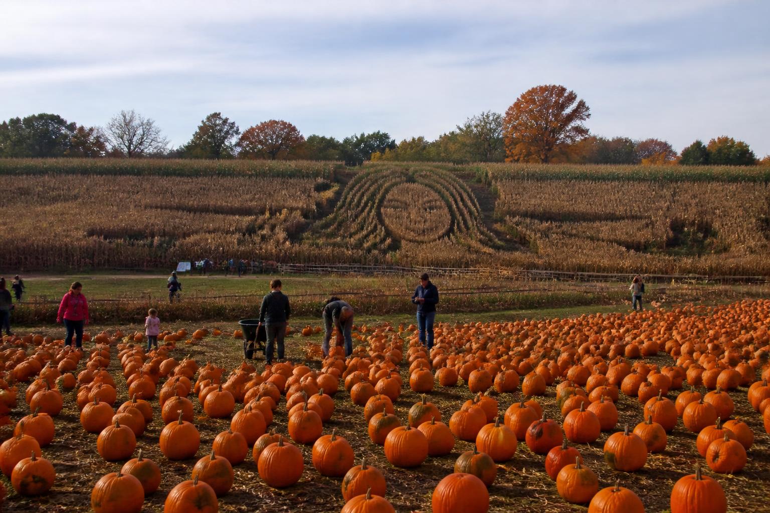 New Jersey Agribusiness Update: Logistics Hurdles and Seasonal Market Pressures - AgroPost