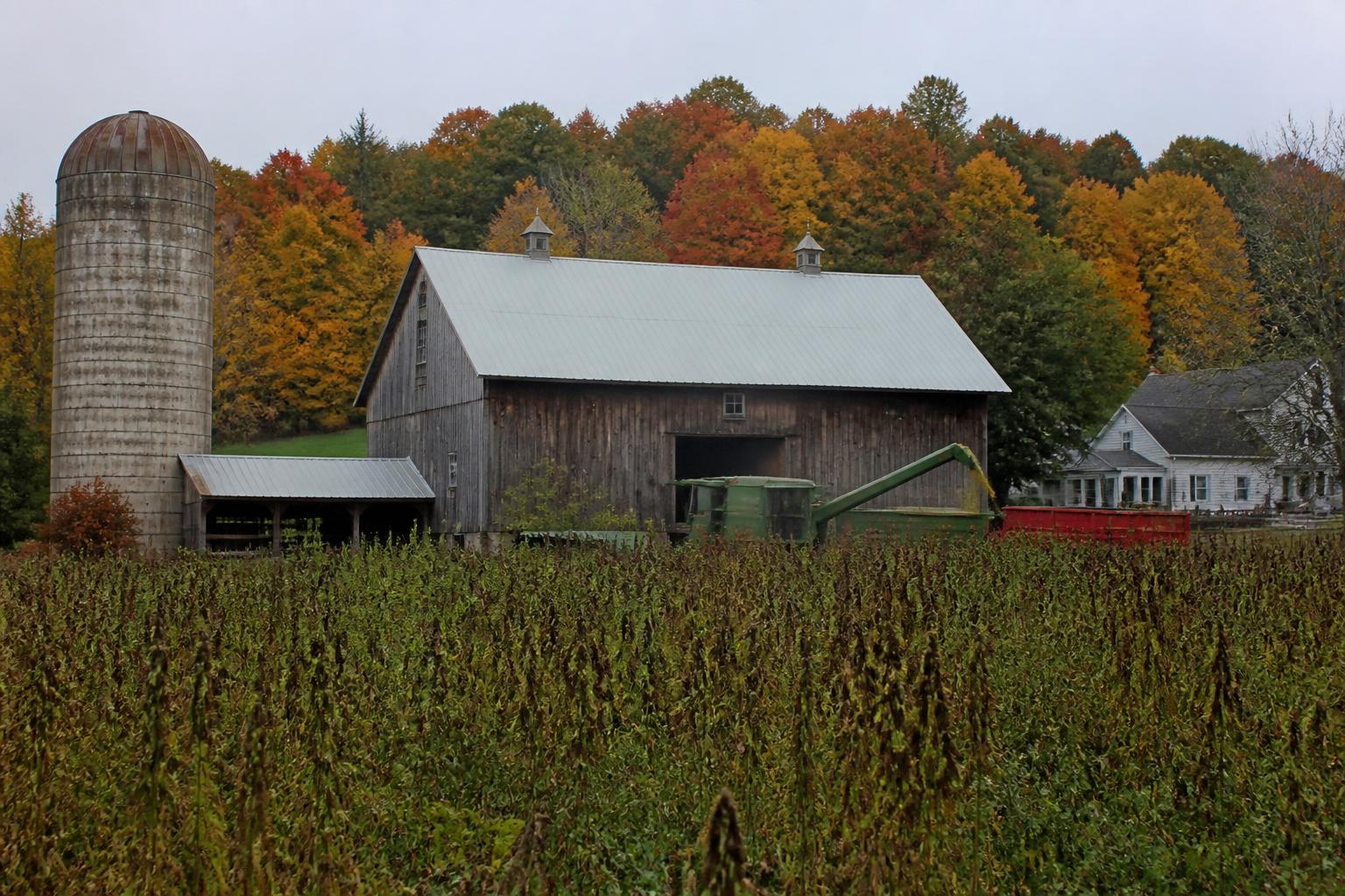 Connecticut Ag Outlook: Hemp Opportunities and Excellence in Pasture Management - AgroPost