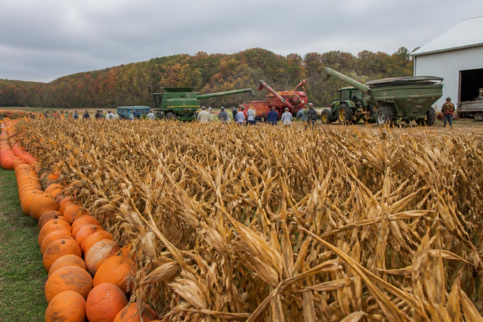 Kentucky Grain Producers Monitor Late-Season Yields Amid Changing Conditions - AgroPost