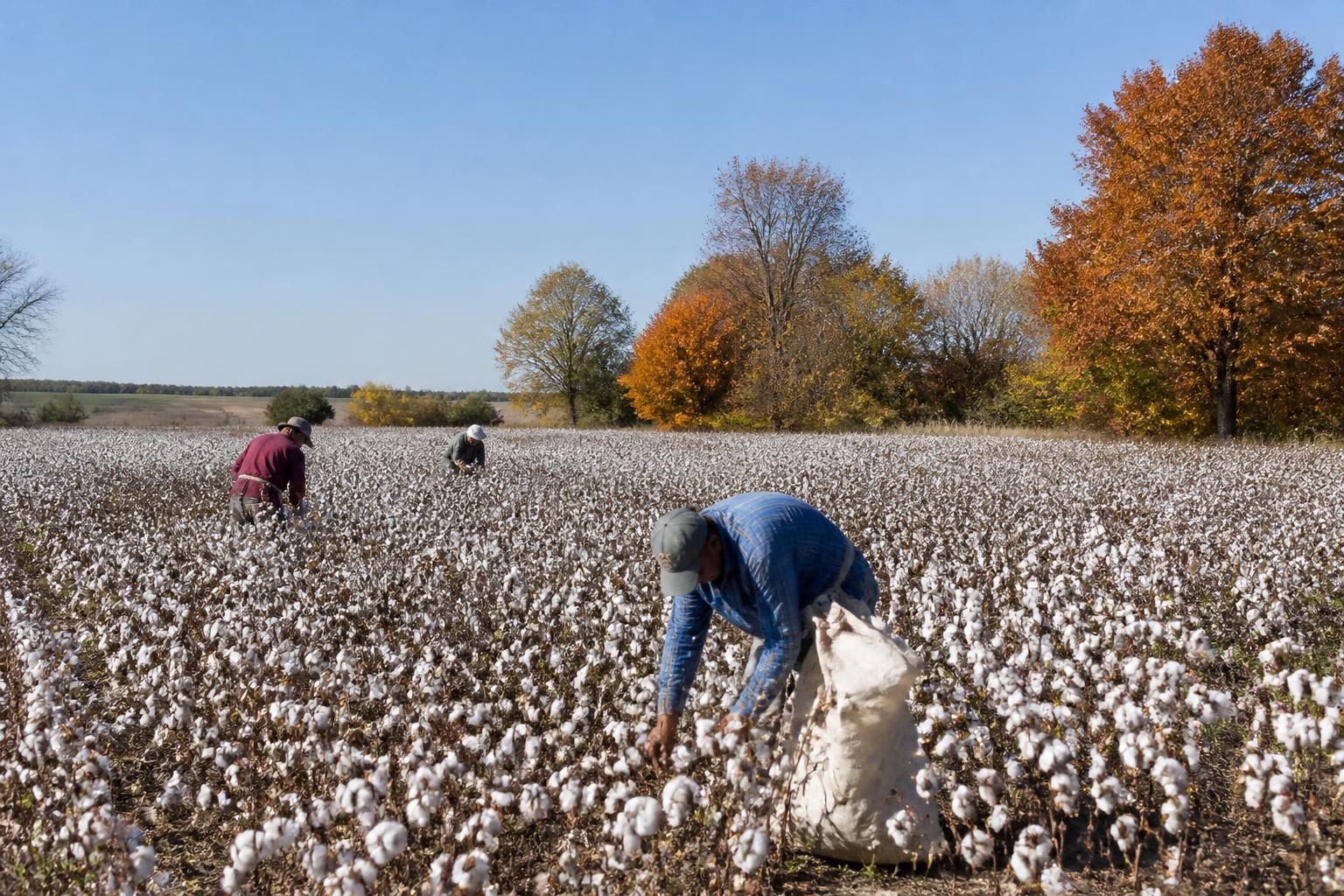 Texas Logistics Outlook: Preparing for Fall Harvest Mobility - AgroPost